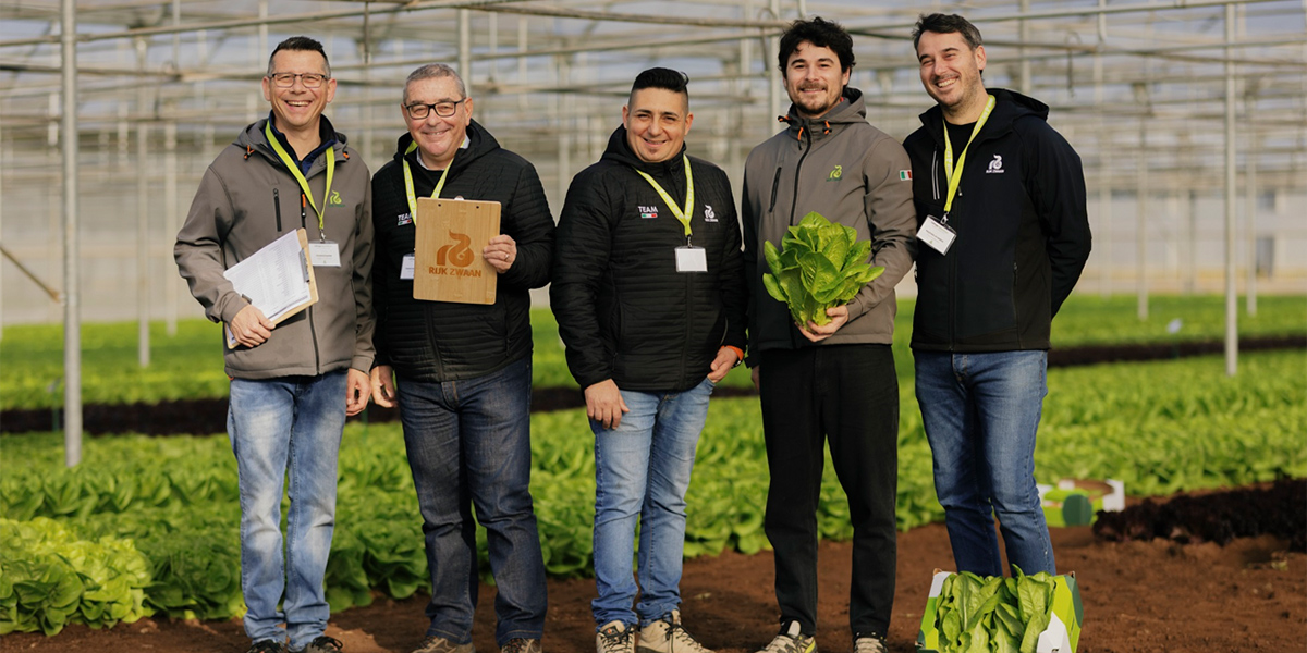 Rijk Zwaan, Demo Days dedicati alla lattuga nel fondano
